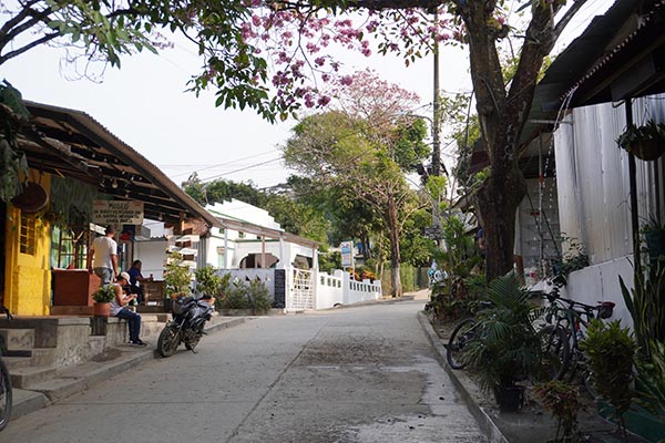 Para las personas que prefieren una opción más calmada y conectar con la naturaleza, en Santa Marta pueden disfrutar de Minca, la capital ecológica de Colombia. Los visitantes pueden disfrutar de diferentes planes, como bañarse en los ríos, practicar el avistamiento de aves, senderismo entre otras actividades.