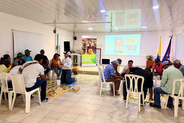 Asbama desarrolló un plan de capacitaciones orientado a fortalecer la productividad, la sostenibilidad y el cumplimiento de estándares técnicos en el cultivo de banano.