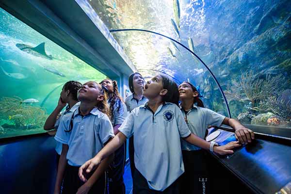 Niños de escuelas públicas del distrito, en su visita al Centro de Vida Marina en el Rodadero. Foto Centro de Vida Marina