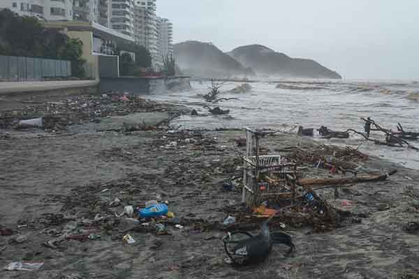 Fotos derechos reservados EL INFORMADOR