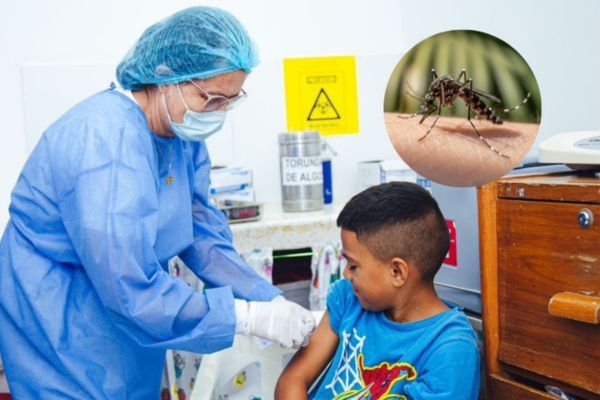 La acción popular solicita la ampliación de los rangos de edades de los niños para el acceso a la vacunación contra el dengue. Foto archivo EL INFORMADOR 