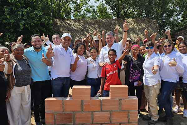 Imagen en contrapicado de la palma de cera. Foto Alcaldía de Barranquilla  