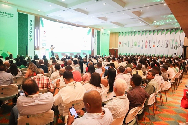 Representantes del sector público, privado e investigadores participarán en este encuentro para analizar desafíos productivos y fortalecer la cadena bananera del país. Foto:  Asbama