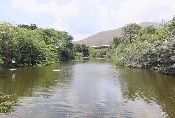 Piscina natural creada para la conservación de la fauna silvestre. Foto derechos reservados EL INFORMADOR