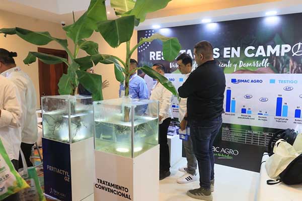 Estrategias de cultivo exhibidas en el Congreso Bananero. Foto derechos reservados EL INFORMADOR