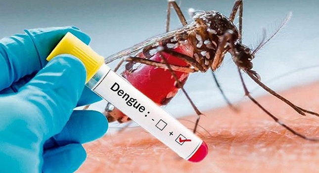 El dengue, que en la mayor parte de Colombia es endémico y se transmite por el mosquito Aedes Aegypti, puede evolucionar en un cuadro potencialmente mortal, llamado dengue grave o dengue hemorrágico.