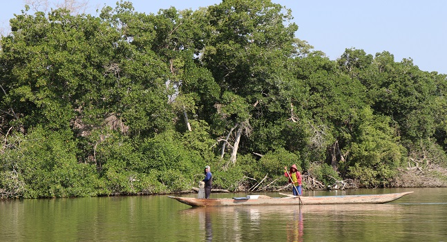 Pescadores en faena en cercanías de manglares. Ciénaga Grande de Santa Marta. Tatiana Rodríguez/WWF-Colombia