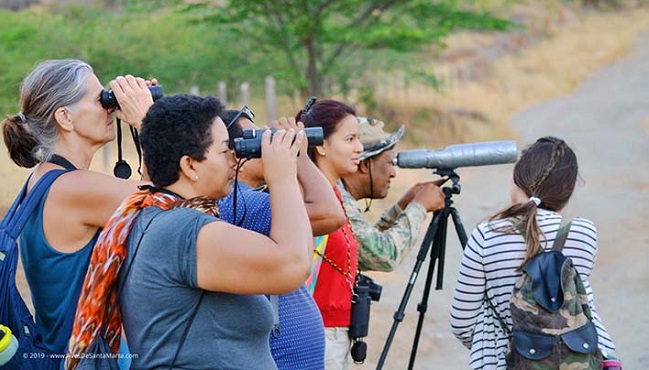 Esta afición en su mayoría de veces es desarrollada como pasatiempo, y se basa en el arte de reconocer las distintas especies de aves por su taxonomía. Foto: Luis Manuel Delgado - AvesDeSantaMarta.org.