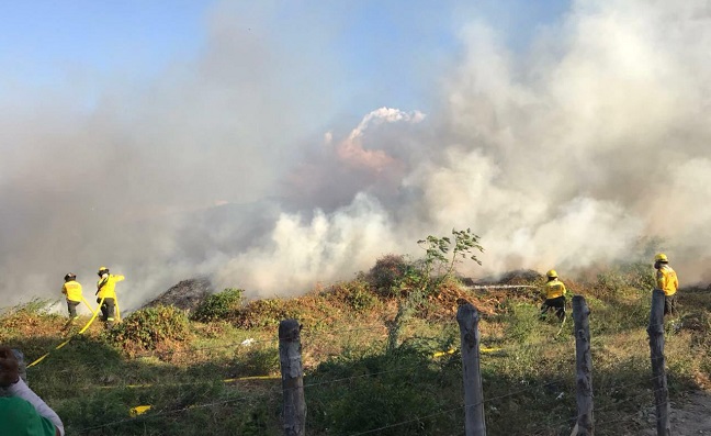 La cifra de emergencias por incendios forestales que están atendiendo al día los Bomberos Voluntarios de Santa Marta, está entre cinco y ocho incendios.