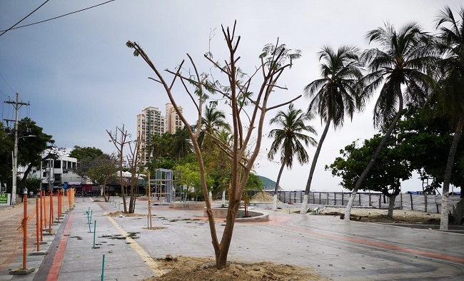 Este proyecto de la Alcaldía Distrital es ejecutado a través de la Empresa de Desarrollo y Renovación Urbano Sostenible de Santa Marta, Edus.