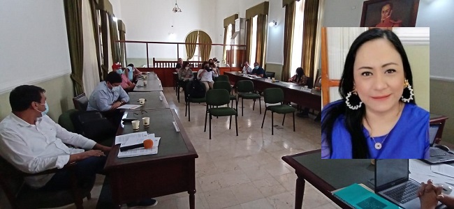 La presidenta de la Duma Departamental, Claudia Patricia Aarón, denunció las irregularidades durante la sesión de este jueves.