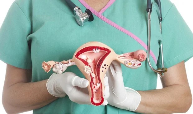 El cáncer de cuello uterino se produce en las células del cuello uterino, la parte inferior del útero que se conecta a la vagina.