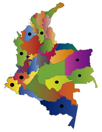 Los departamentos con más registros de infecciones por malaria son Chocó, Córdoba, Nariño, Cauca, Distrito de Buenaventura, Bolívar, Risaralda, Amazonas, Vichada, Guainía y Guaviare.