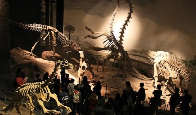 Museo Paleontológico de Trelew, Argentina, en el cual se exponen gran parte de fósiles de dinosaurios de gran tamaño.