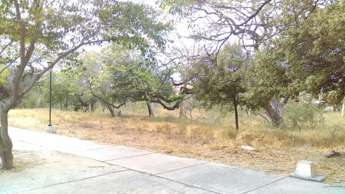 Son muchos los turistas que ingresan y salen de este lugar que no cuenta con vigilancia