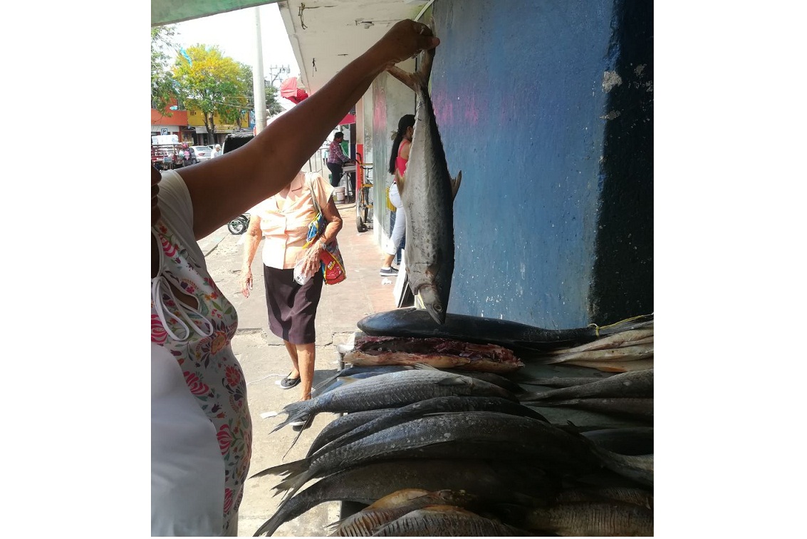 Foto: Édgar Fuentes. Pescadería en mercado de Santa Marta