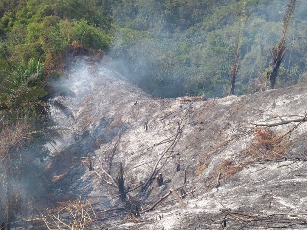 Fotos: Bomberos Santa Marta