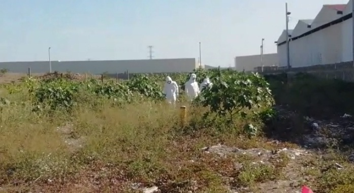 Levantamiento del cadáver