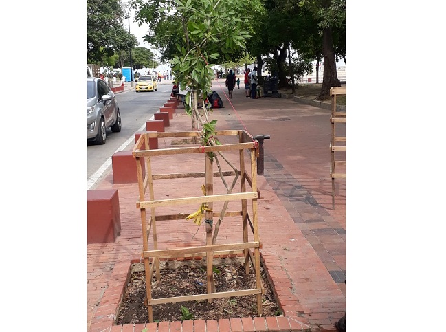 #PiensaVerde, campaña ambiental de EL INFORMADOR