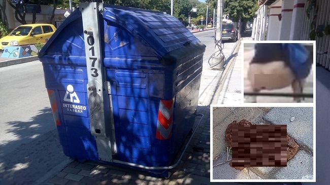 Contenedor de basuras ubicado en andén de la avenida del Libertador entre carreras 16 y 17