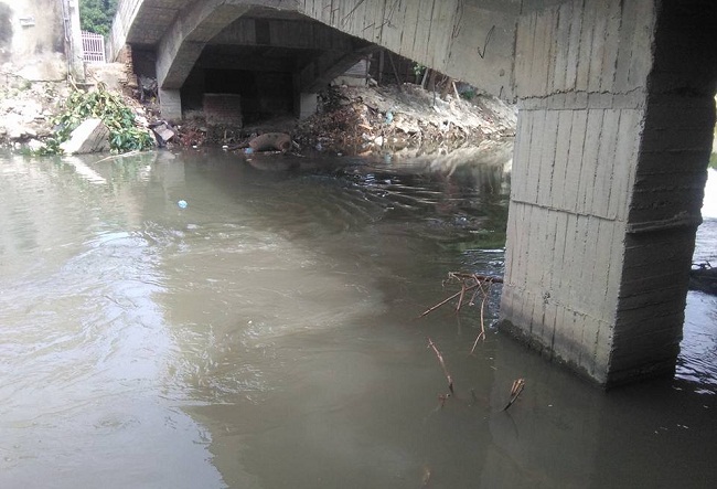 Foto: cortesía Fundación Salva Tu Río