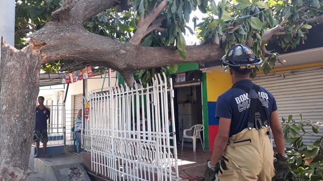 Fotos: Bomberos Santa Marta