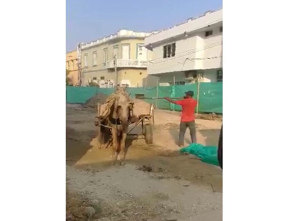 Captura de video