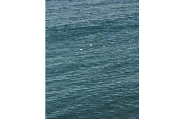 Desechos flotan en el mar