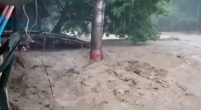 Captura de video