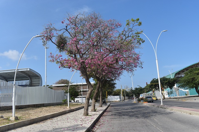 Fotos: Édgar Fuentes/ EL INFORMADOR