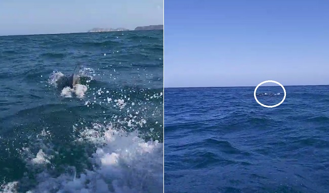 Captura de video