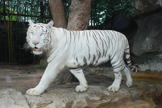 Foto: Zoológico de Barranquilla