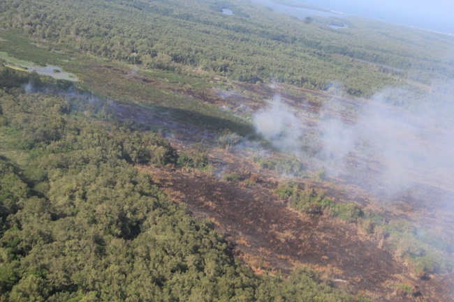 Incendio en Vía Parque Isla de Salamanca. Foto: archivo.