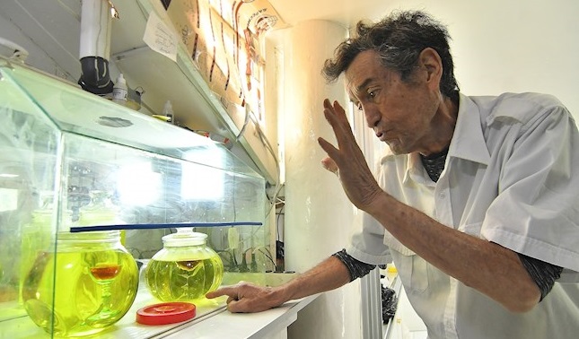 Imagen del doctor Federico Anze mientras muestra dióxido de cloro en la Farmacia Boliviana en Cochabamba (Bolivia). EFE