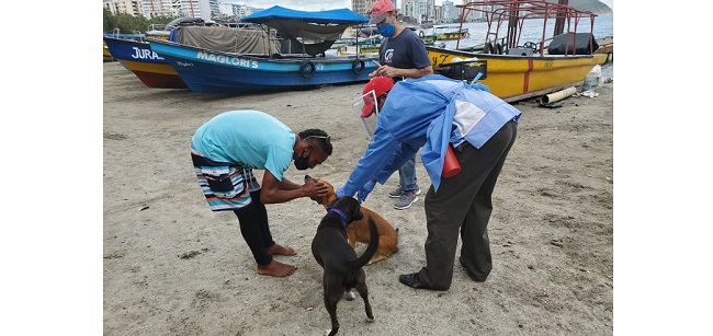Para este 28 de septiembre en el Parque de La Equidad, habrá acciones de vacunación, vitaminización, desparasitación, sensibilización y charlas sobre tenencia responsable de animales, maltrato animal, además de concursos y rifas, entre otros.