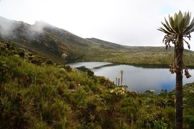 Foto: Parques Nacionales