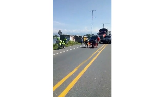 Captura de video
