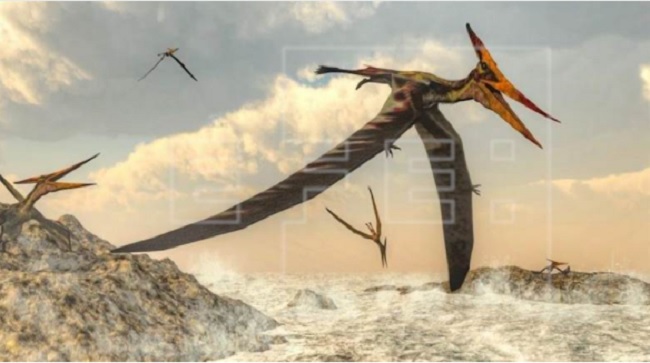 Ilustración de un Pteranodon de alto vuelo, un género de pterosaurio que incluía algunos de los mayores reptiles voladores conocidos. EFE