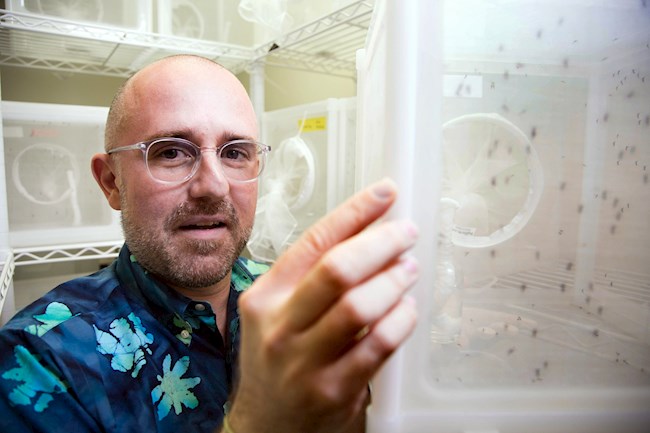Fotografía sin fecha cedida por la Universidad Internacional de Florida (FIU), donde aperece el neurogenetista Matthew DeGennaro, del Instituto de Ciencias Biomoleculares de la universidad, quien dirige la investigación del microbioma de la piel humana y su uso para la fabricación de un repelente natural eficaz y de larga duración contra los mosquitos.