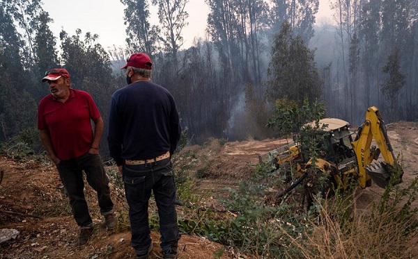 El incendio ha consumido más de 2 mil hectáreas.