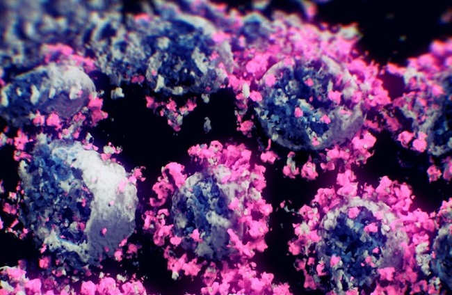 Imagen real del virus.