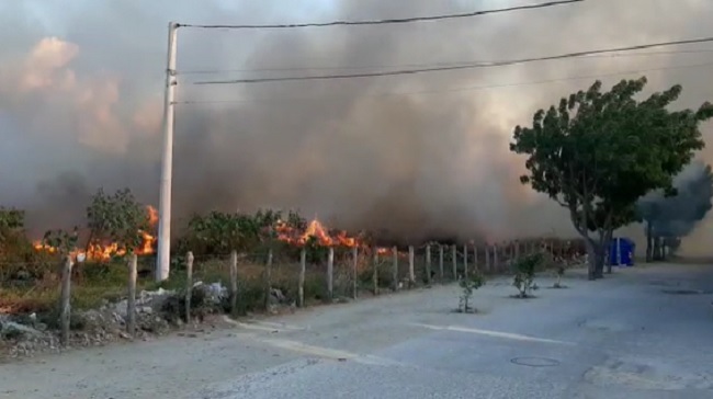 Incendio forestal en Santa Marta.