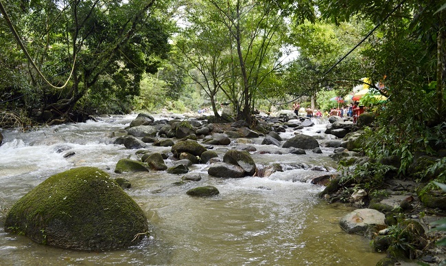 Río Minca 
