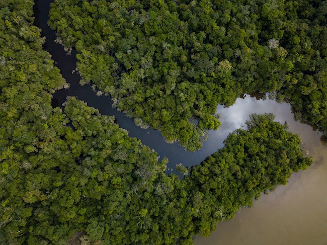 Fotografía cedida hoy por WWF que muestra una vista aérea de un humedal. WWF informó en un comunicado, con motivo del Día Mundial de los Humedales, que en 2020 se detectaron "incendios en cantidades récord en el Pantanal, en especial en el territorio brasileño. EFE