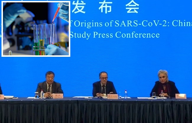  Foto de la rueda de prensa de los responsables de la misión de la organización que ha investigado el origen de la covid-19 en Wuhan, China.EFE