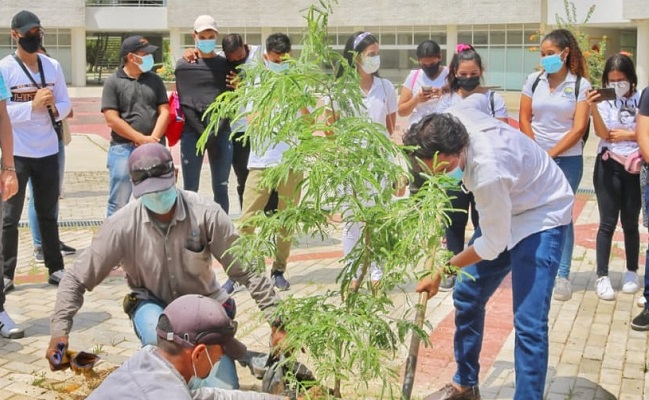 La iniciativa surgió en los espacios de Aula Abierta.