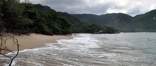 Boca del Saco es en realidad una playa en la que quedarás deslumbrado ante una extensa franja de arenas blancas, contrastadas por el verde intenso de la vegetación que la rodea y la espesa selva al fondo en la que se pierde.