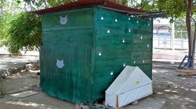 Se trata de una especie de casa, que se instaló en la Villa Bolivariana con el fin de que los gatos tengan dónde refugiarse.