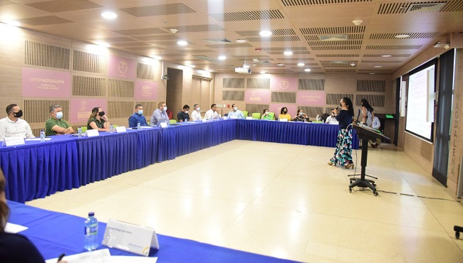 Las estrategias de este comité buscan proponer planes y proyectos que potencialicen las capacidades regionales y la competitividad.