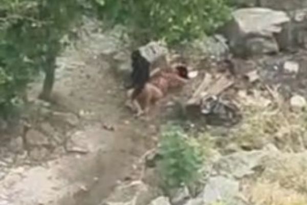 CAPTURA DE VIDEO